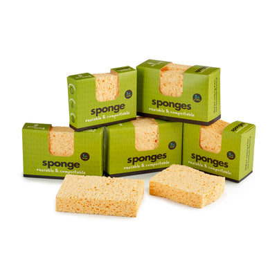 Ecoliving Compostable Sponges - Various Sizes