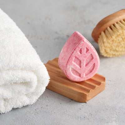 EcoLiving Shampoo Bars - Sample Size