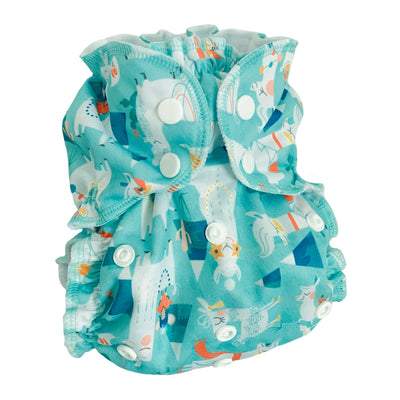 AppleCheeks Onesize All-In-One Nappy